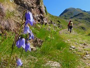 Laghi alti di Foppolo ad anello via Passo-Cima di Valcervia- 5 agosto 2025  - FOTOGALLERY